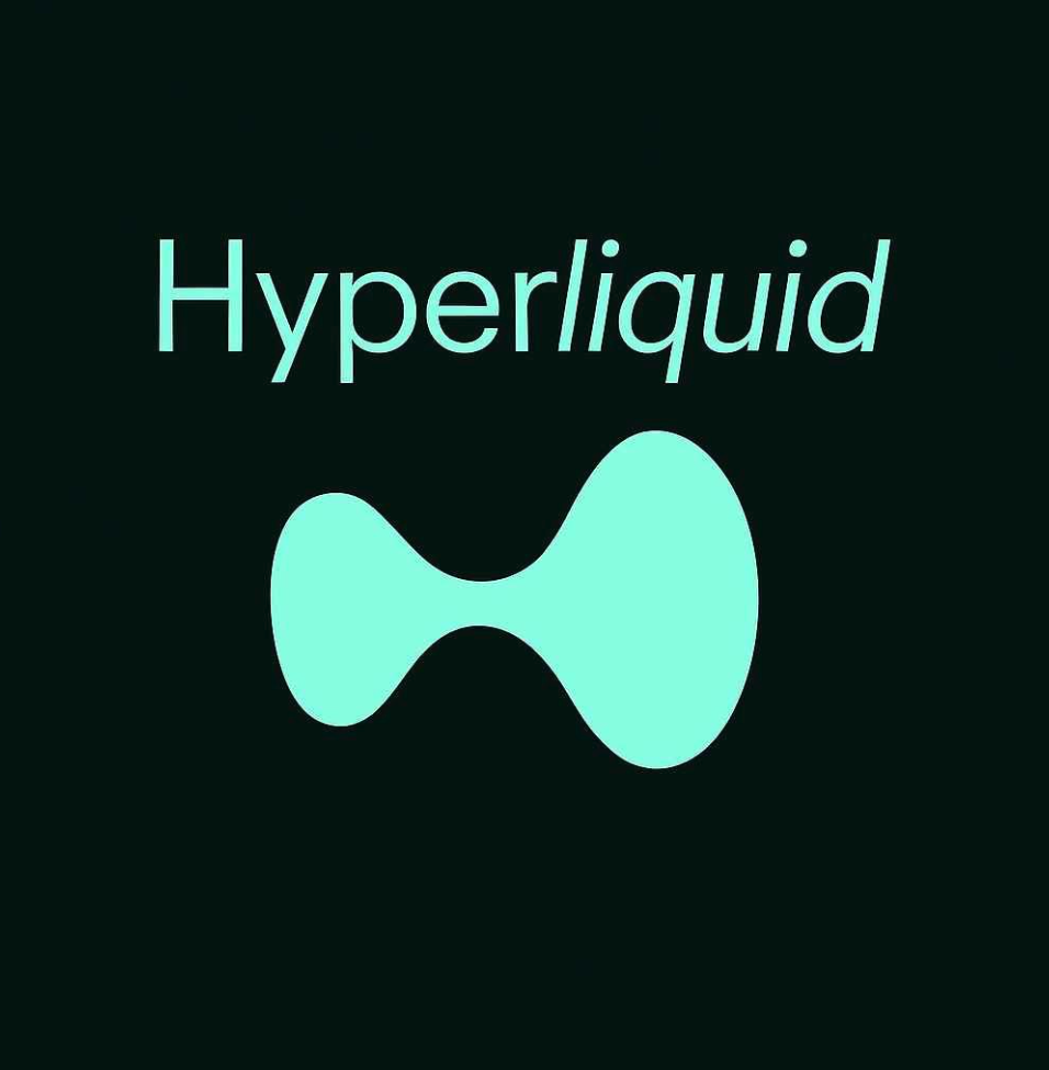 HYPE and Hyperliquid Explained: A Beginner’s Guide